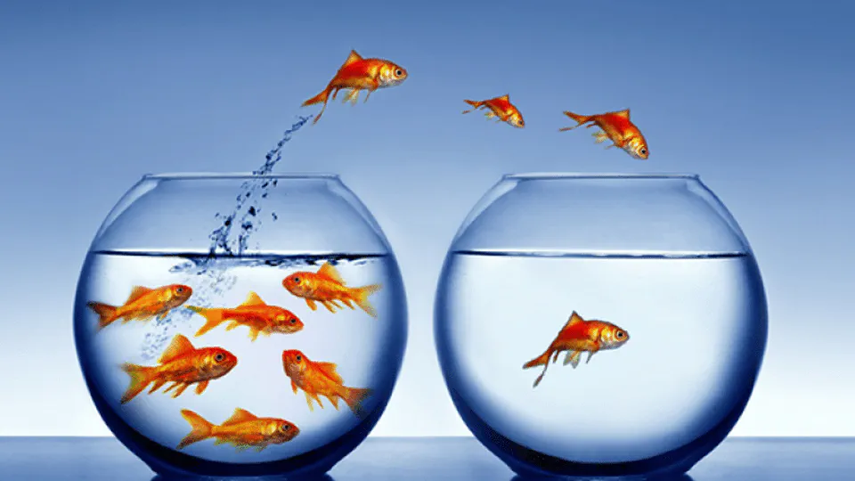 Customer Attrition Analysis