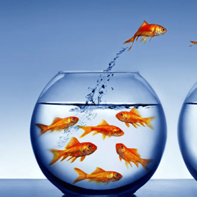 Customer Attrition Analysis