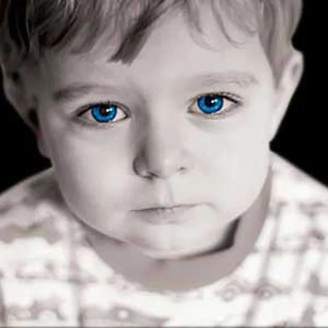 Children at Risk Research